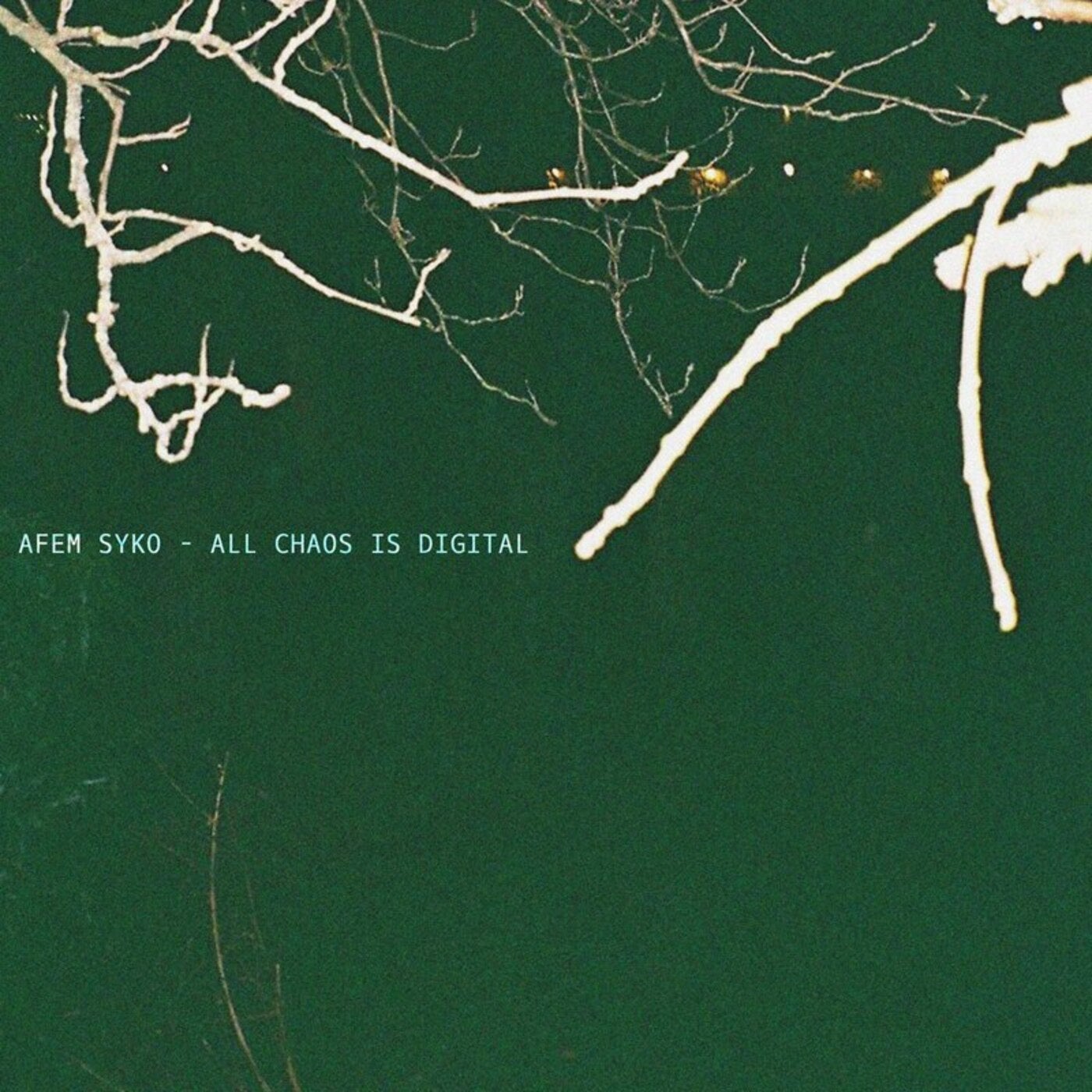 All Chaos Is Digital