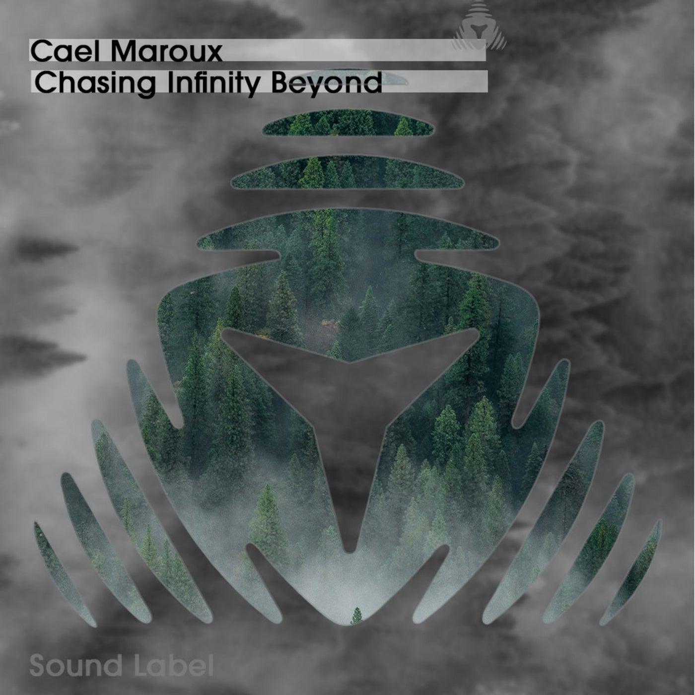 Cover art for Chasing Infinity Beyond