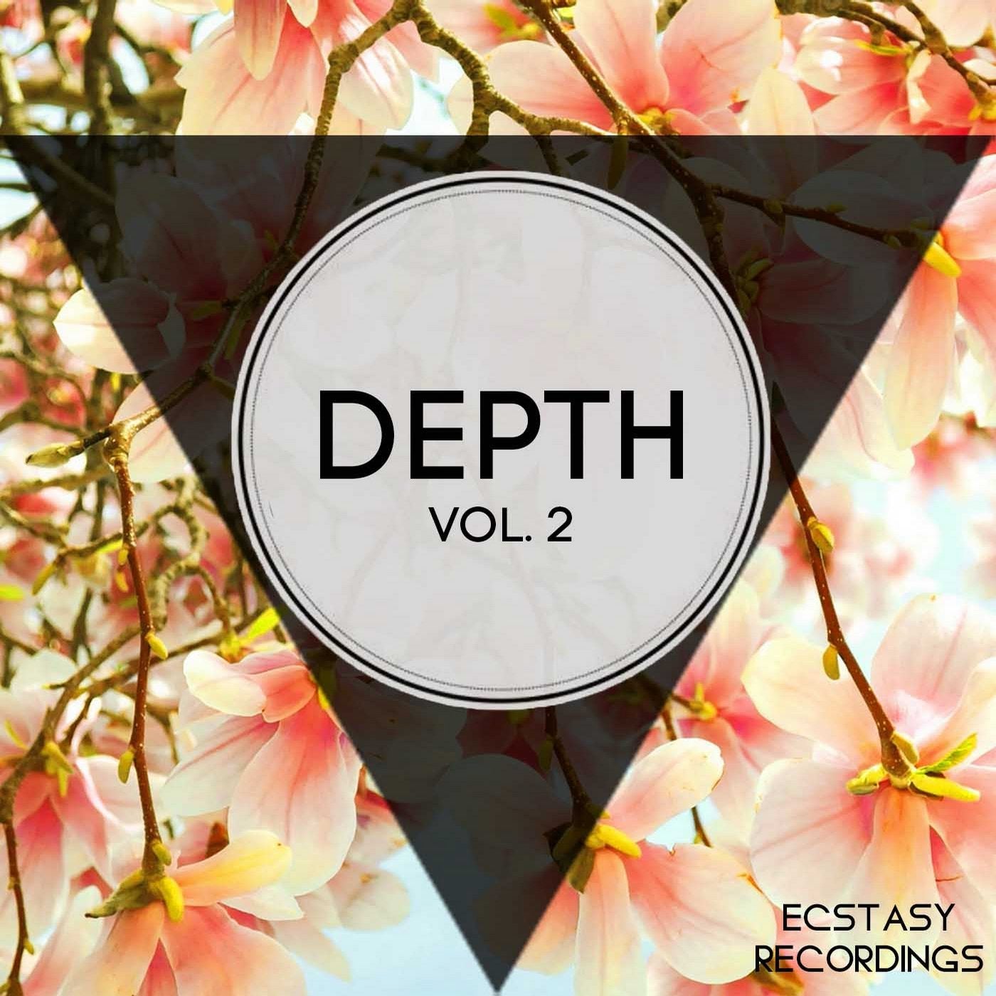 Depth, Vol. 2