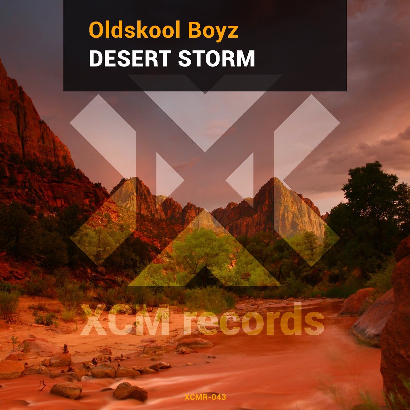 Desert Storm