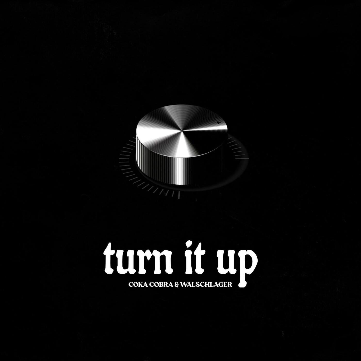 Turn it Up (feat. Walschlager)