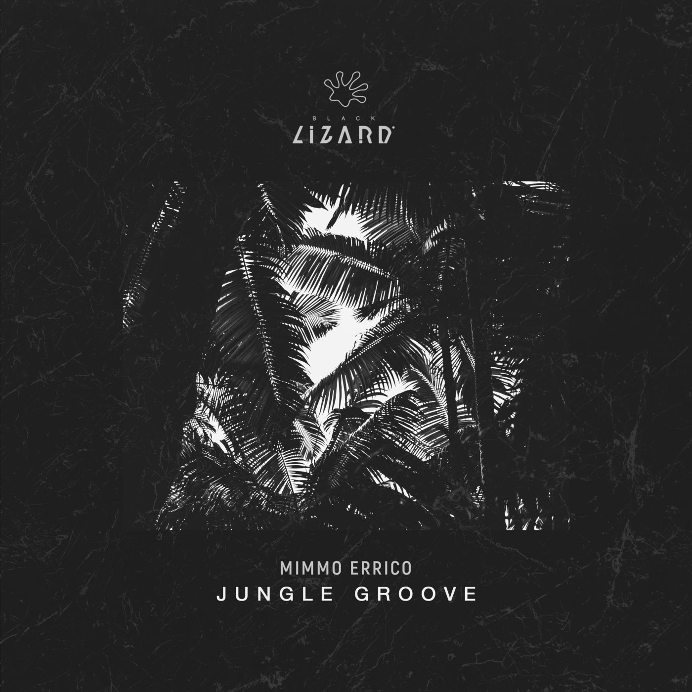 Jungle Groove - Extended Mix