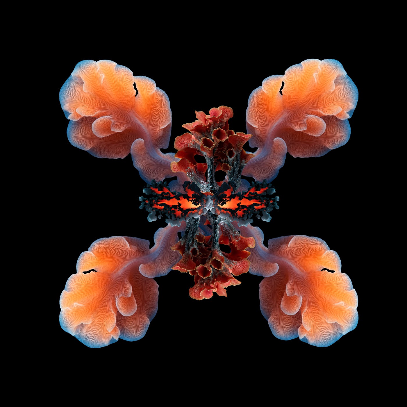 Symbiosis Three