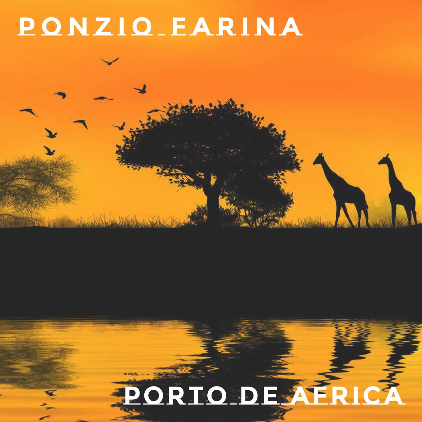 Porto de Africa