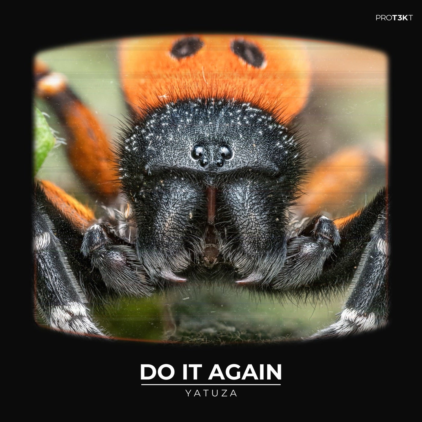 Do It Again
