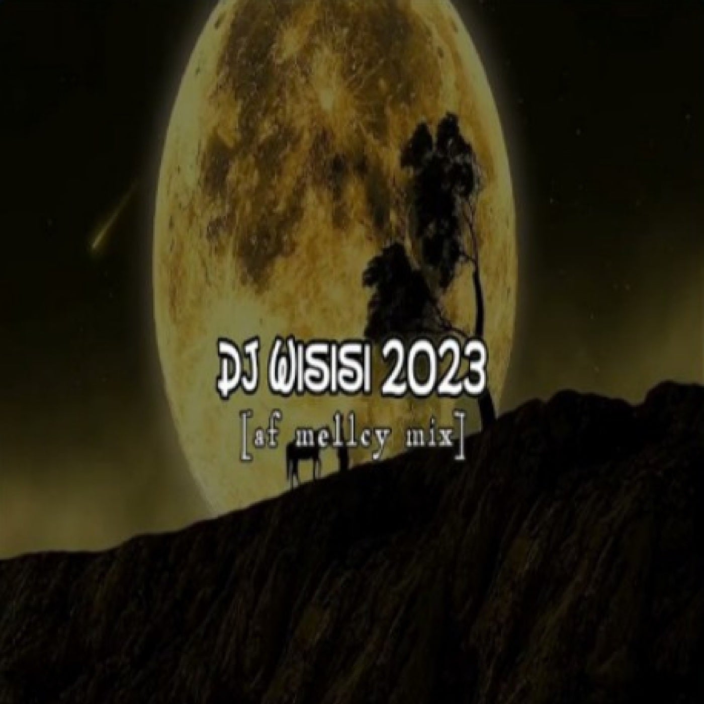 DJ Wisisi 2023 (Af Meley Mix)