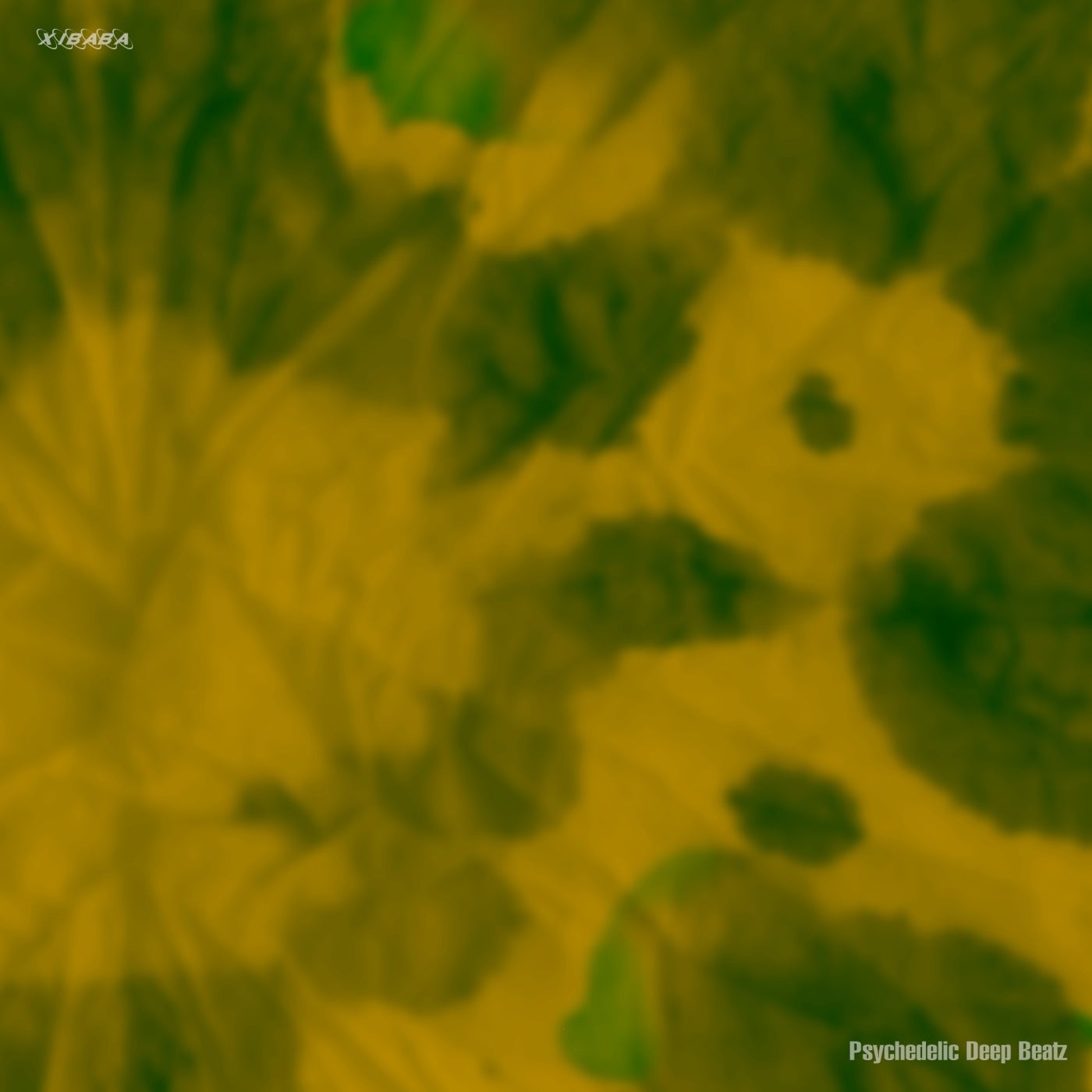Psychedelic Deep Beatz