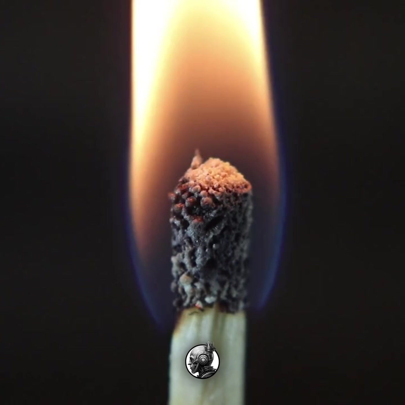Arde