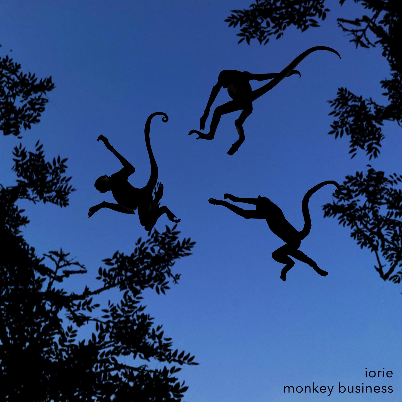 Monkey Business