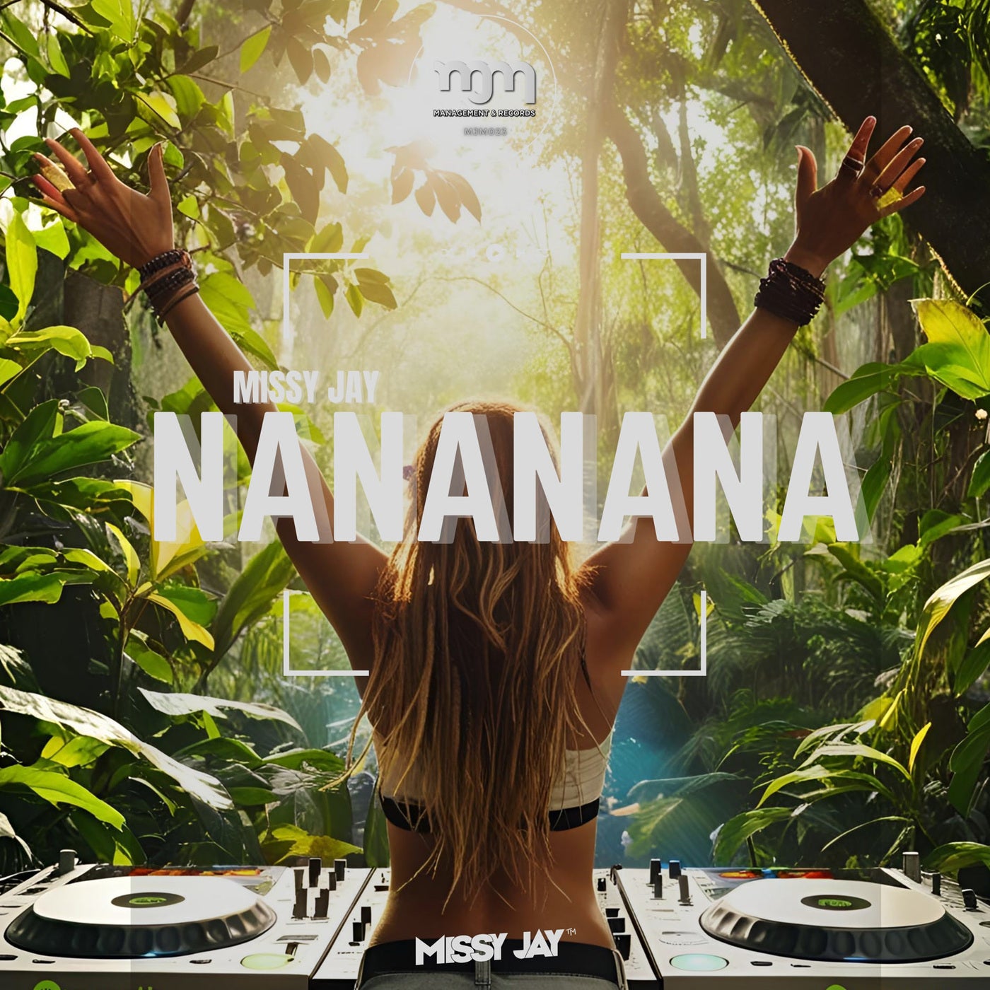 NaNaNaNa