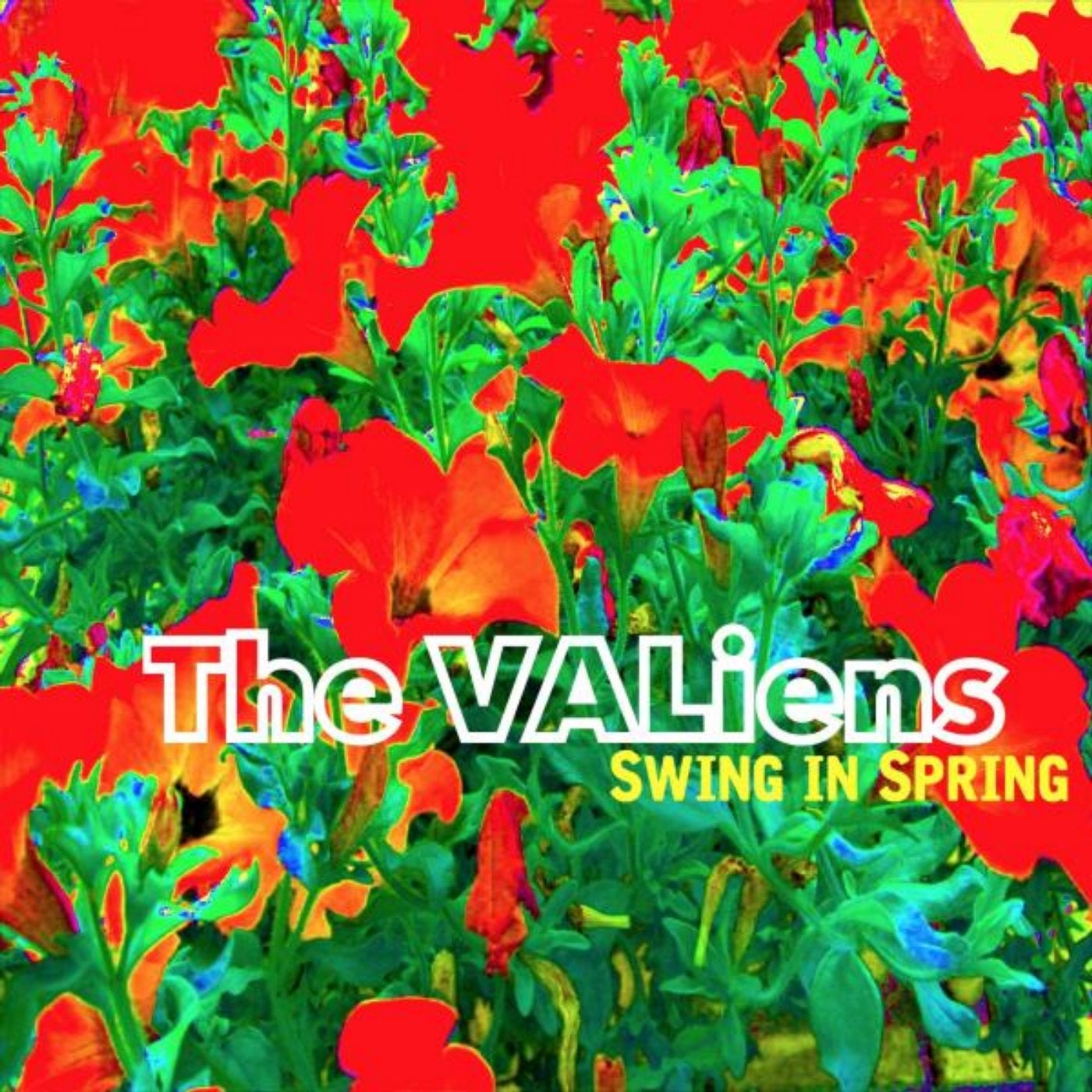 Swing in Spring
