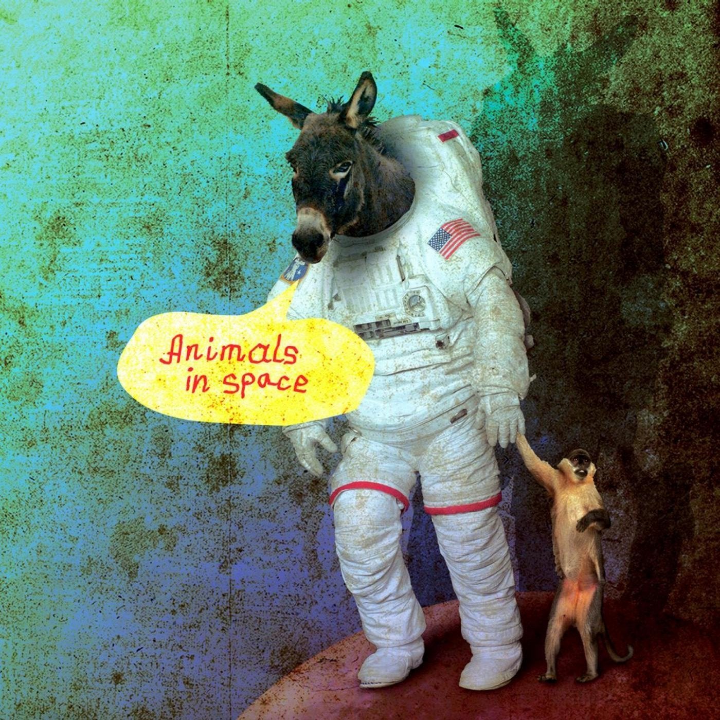 Animals In Space