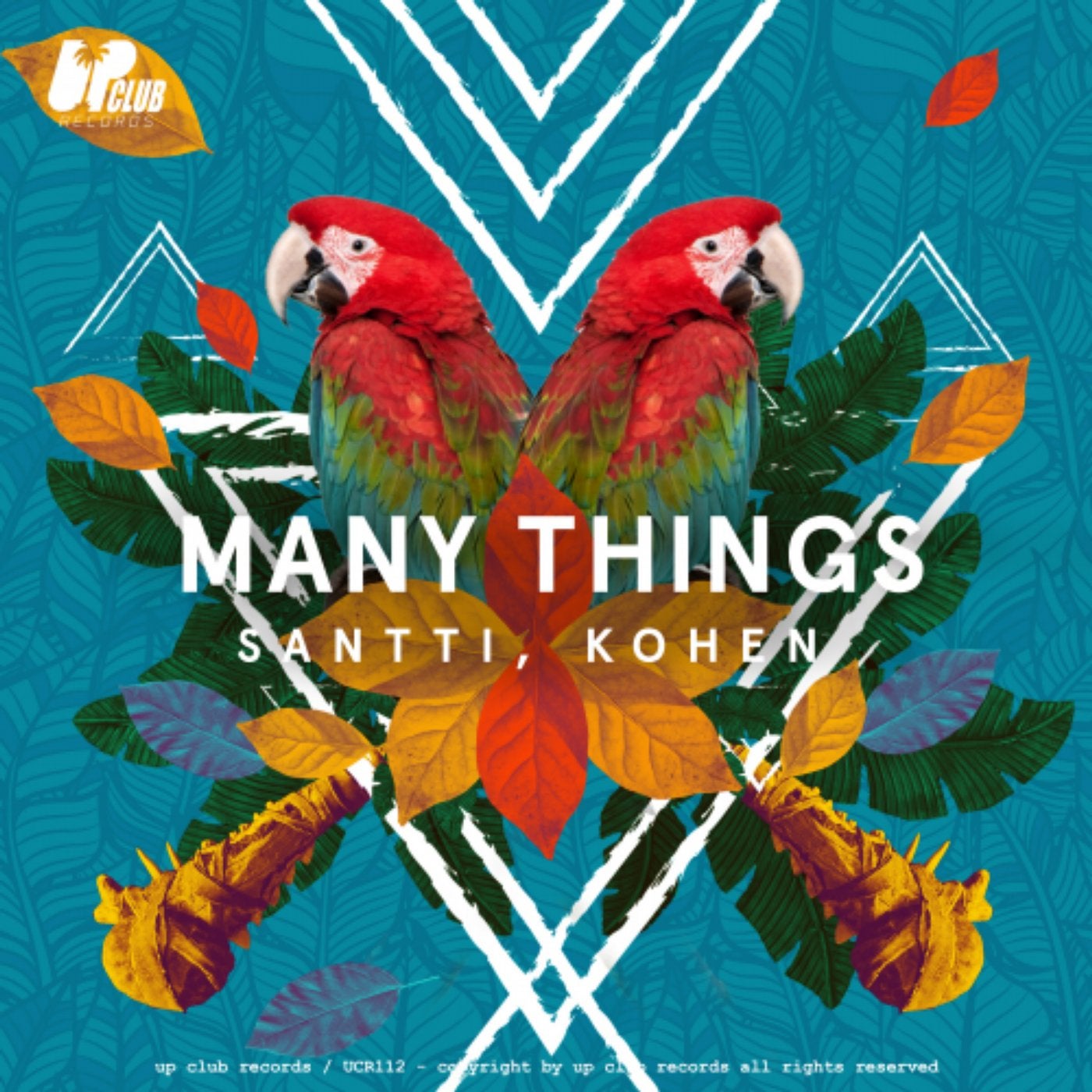 Many Things (Club Mix)