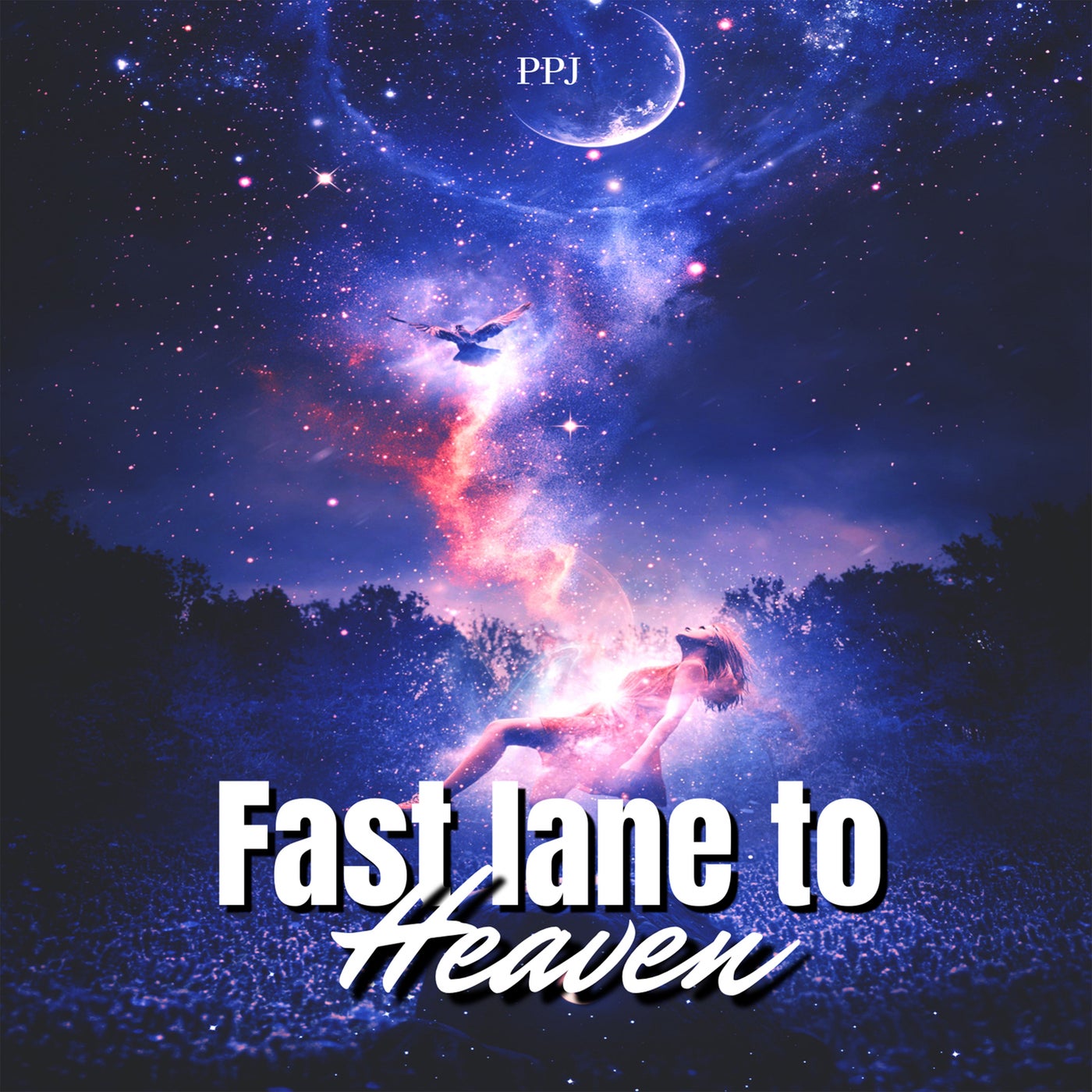 Fastlane to Heaven