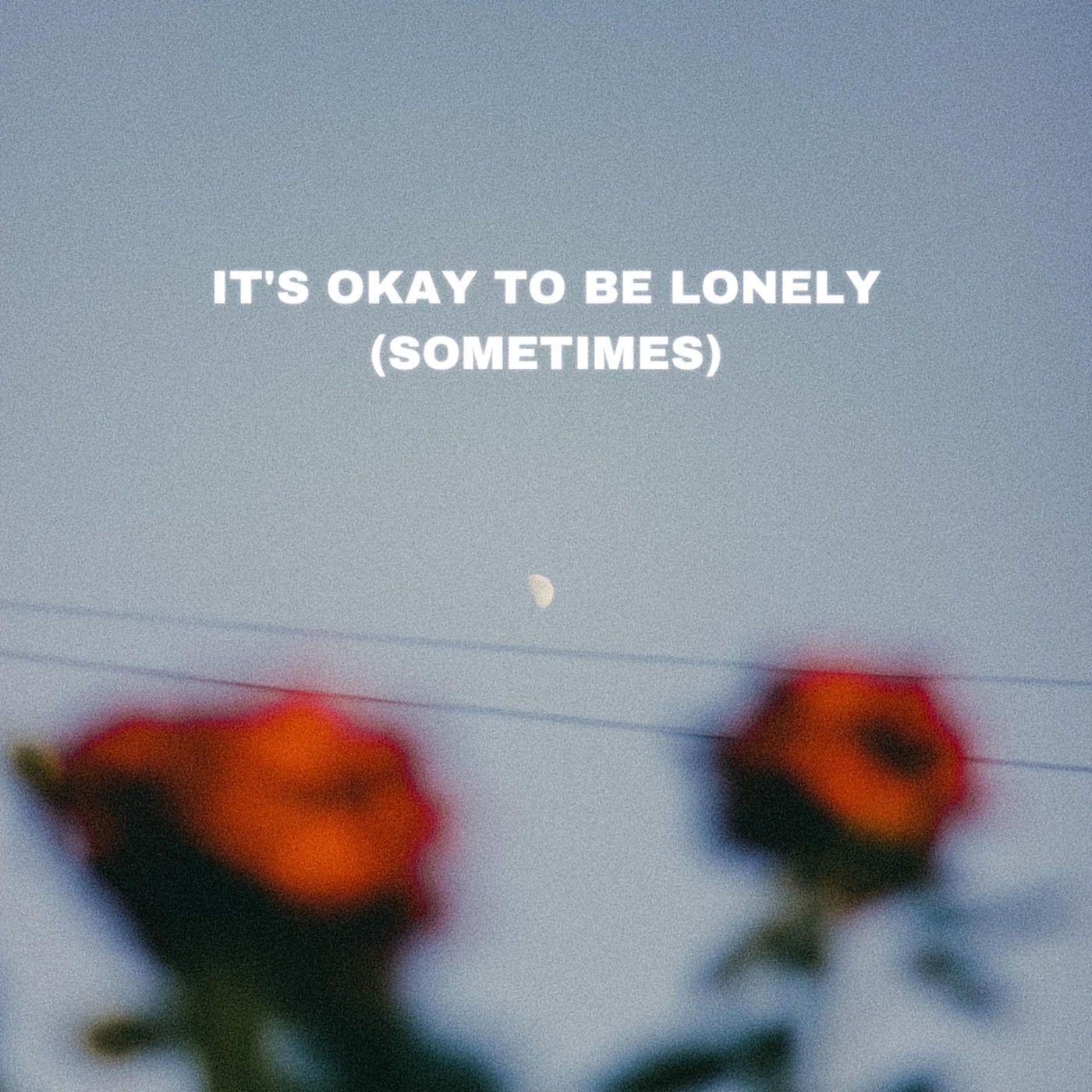It's Okay To Be Lonely (Sometimes)