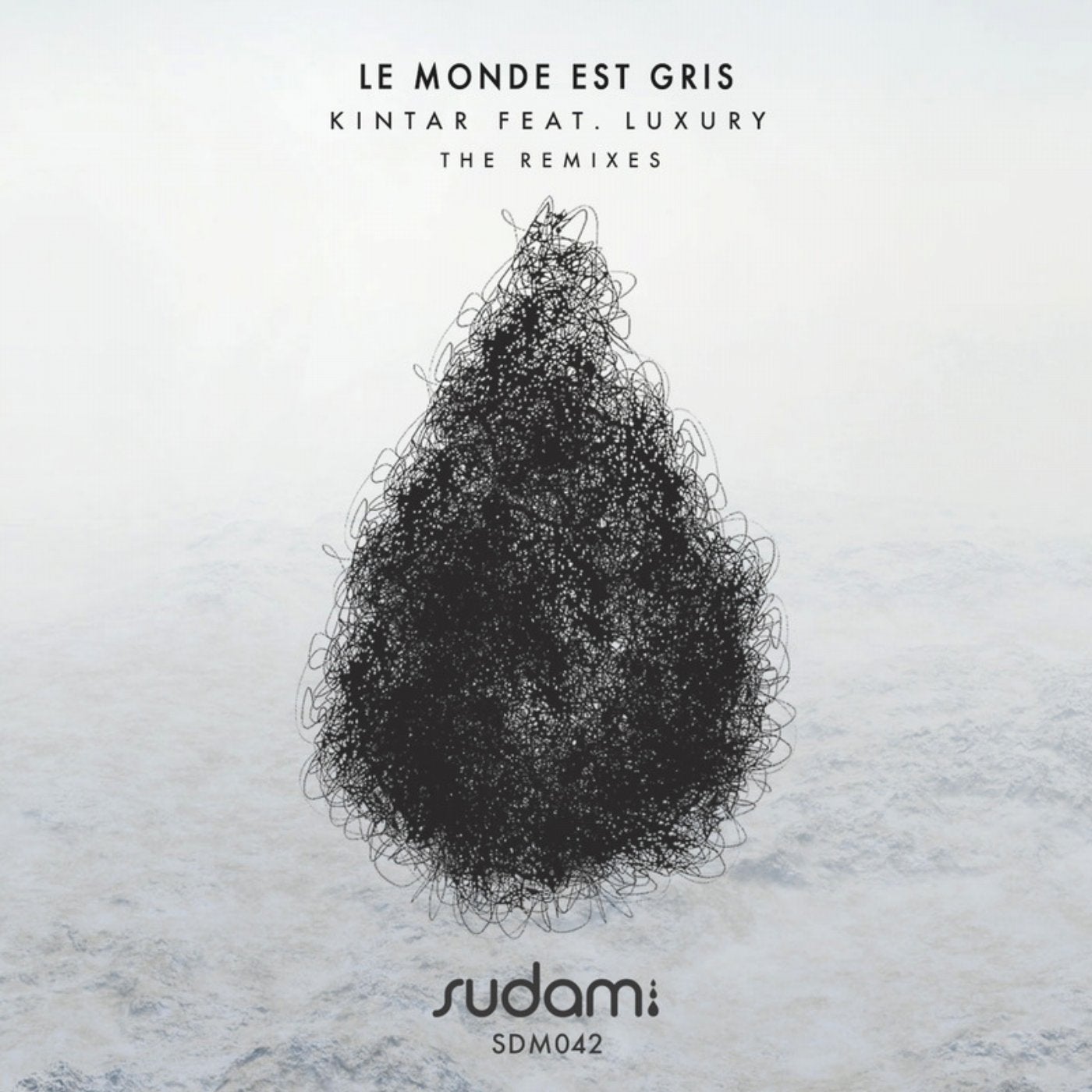 Le Monde Est Gris The Remixes