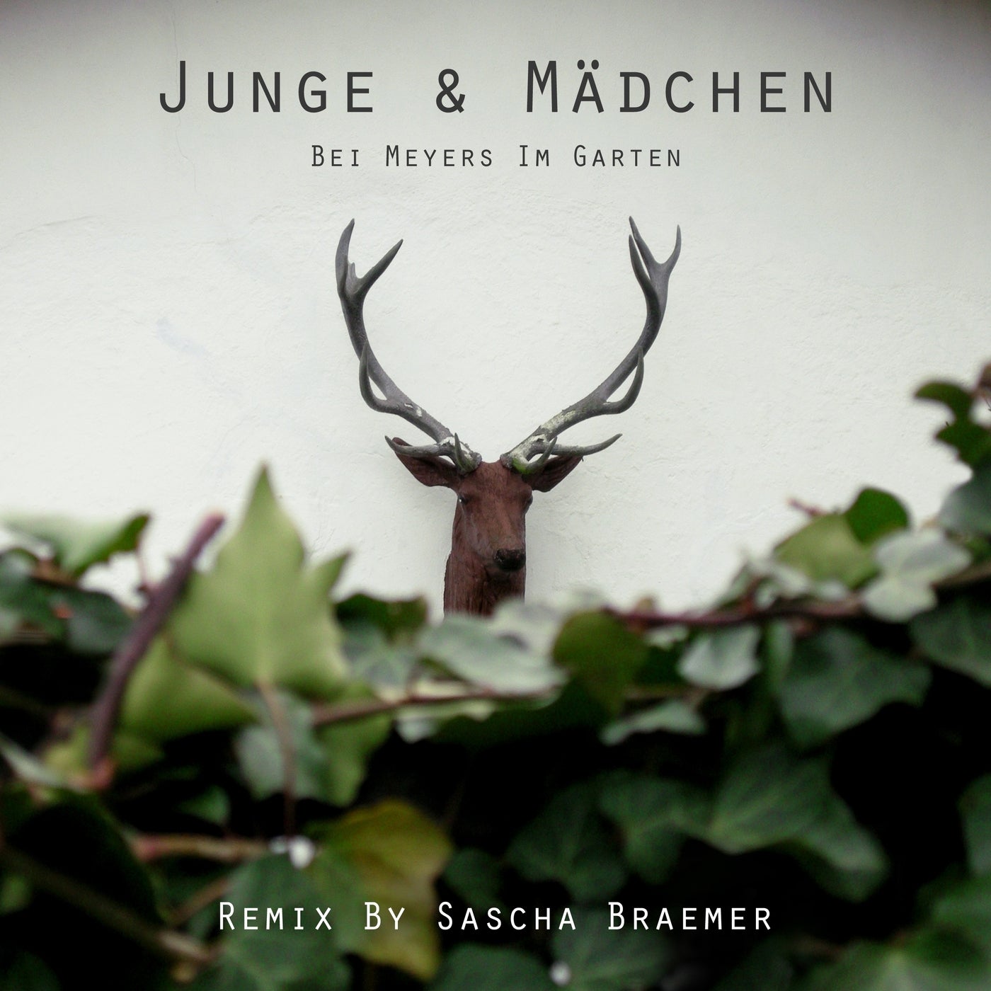 Cover art for Bei Meyers Im Garten (Remixes)