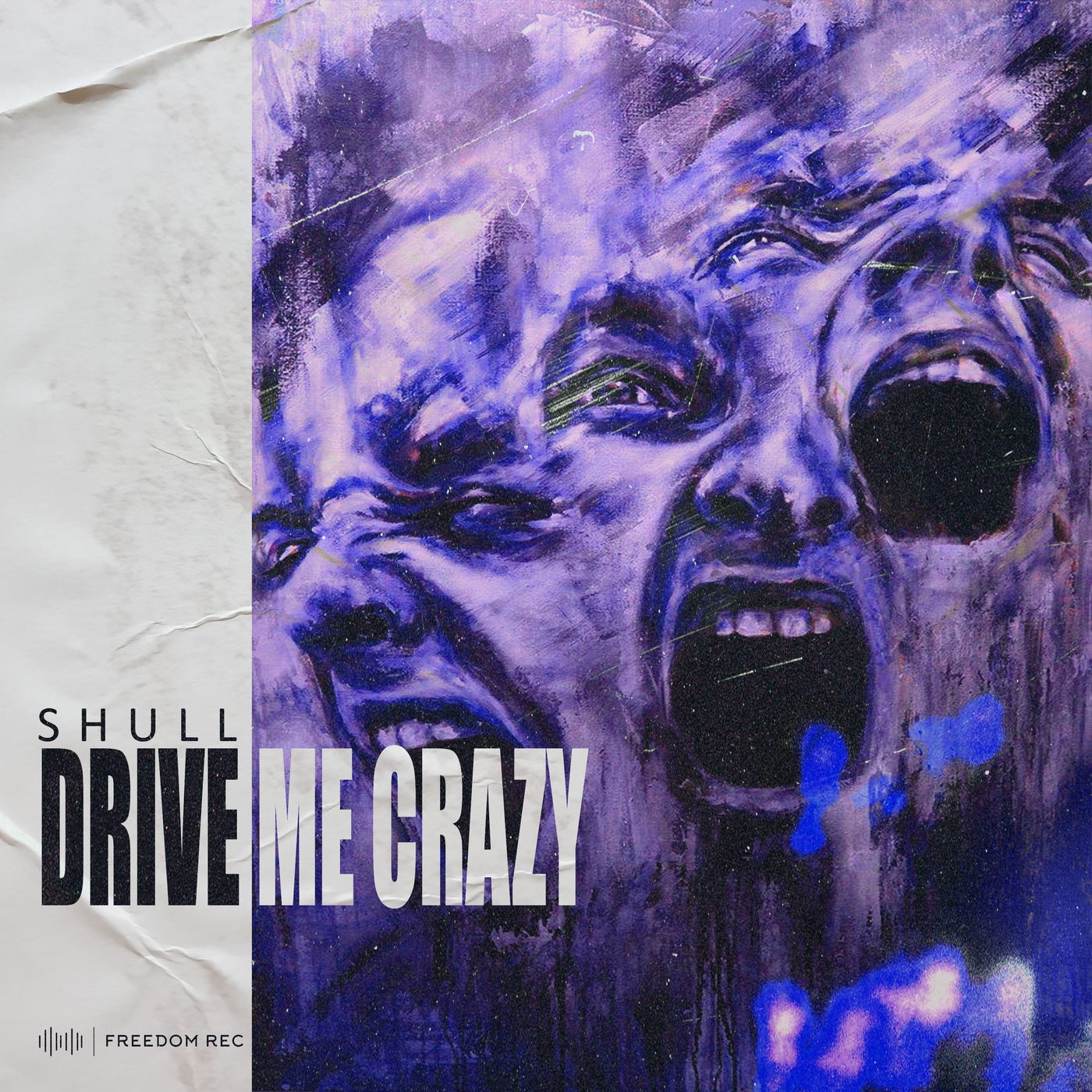Drive Me Crazy (Extended Mix)