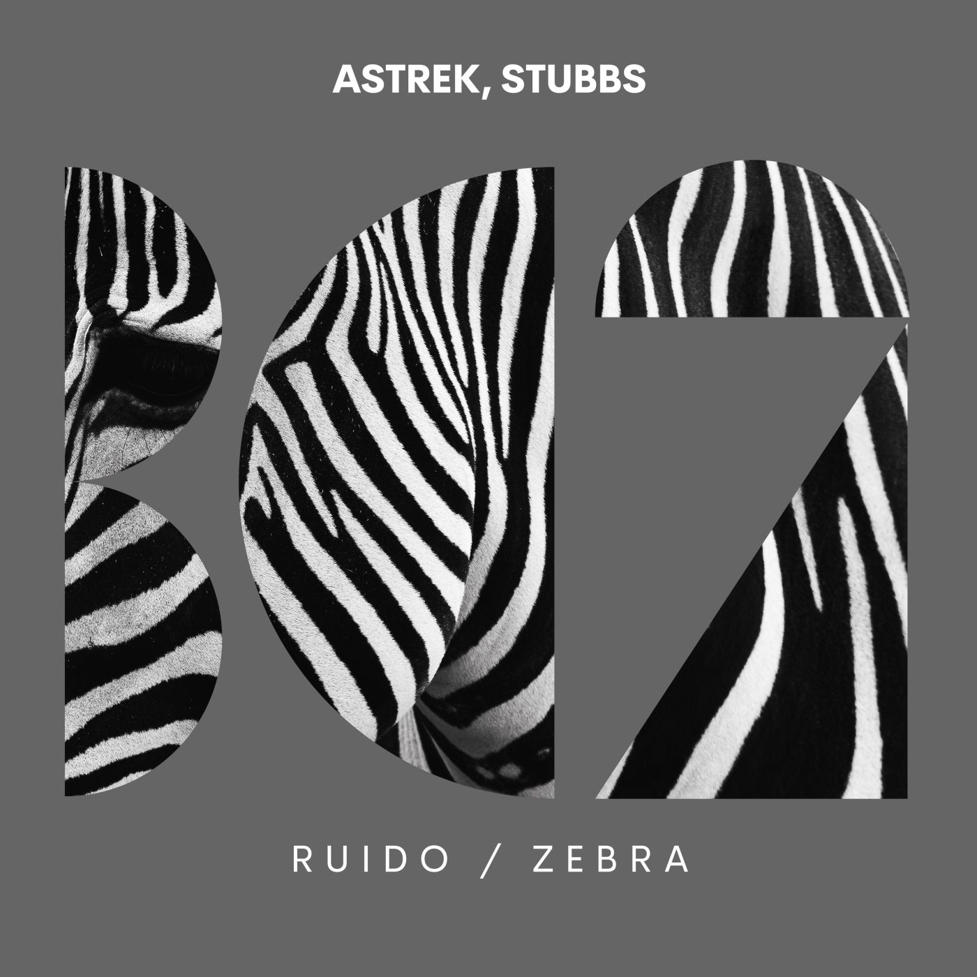 Ruido / Zebra