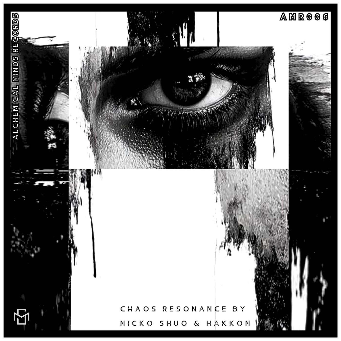 Chaos Resonance