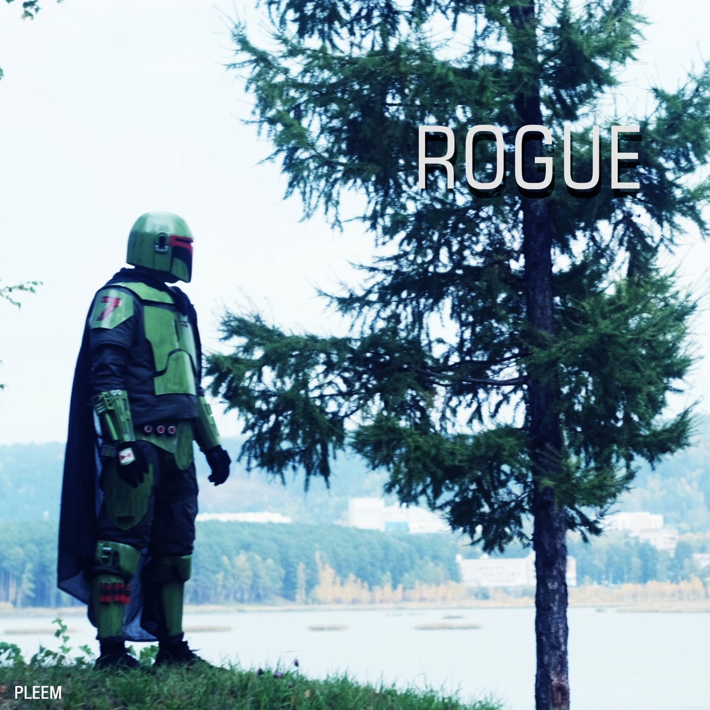 Rogue