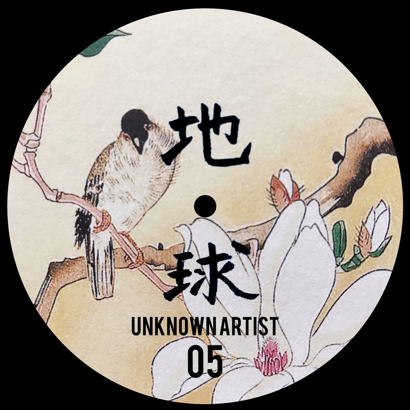 Unknown 05