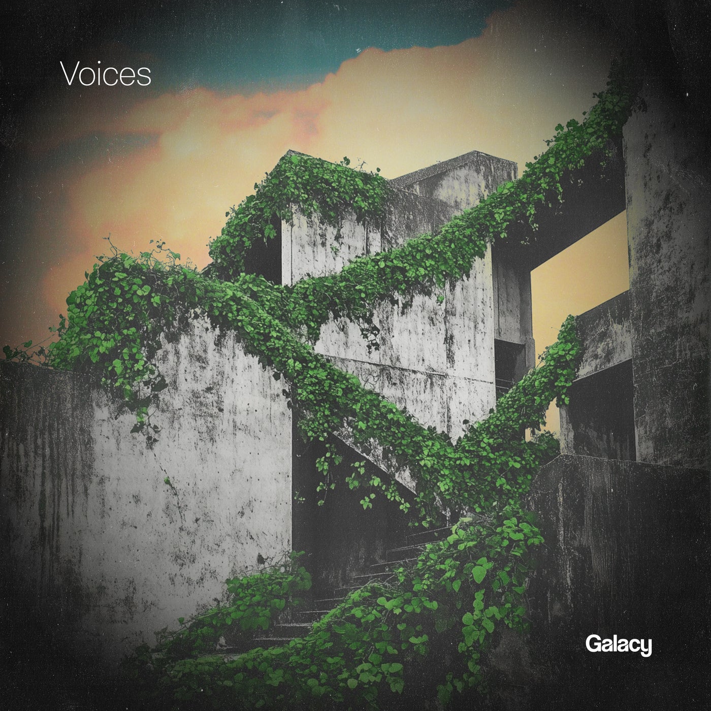 Cover art for Voices