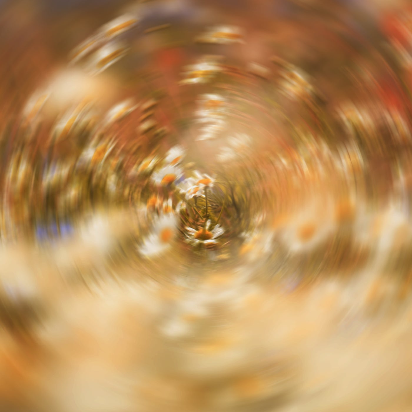 Downtempo preview 8