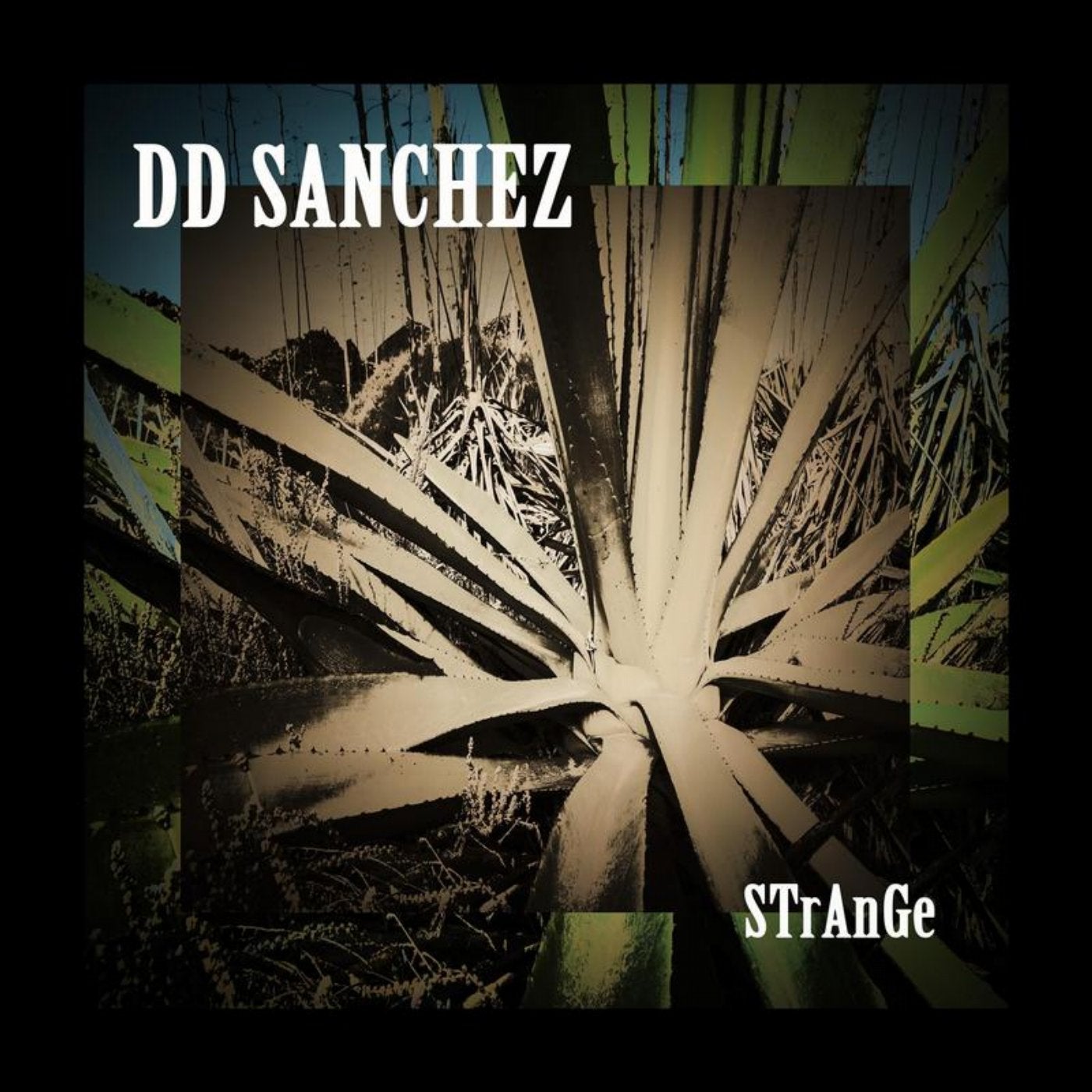 DD SANCHEZ:  STrANgE