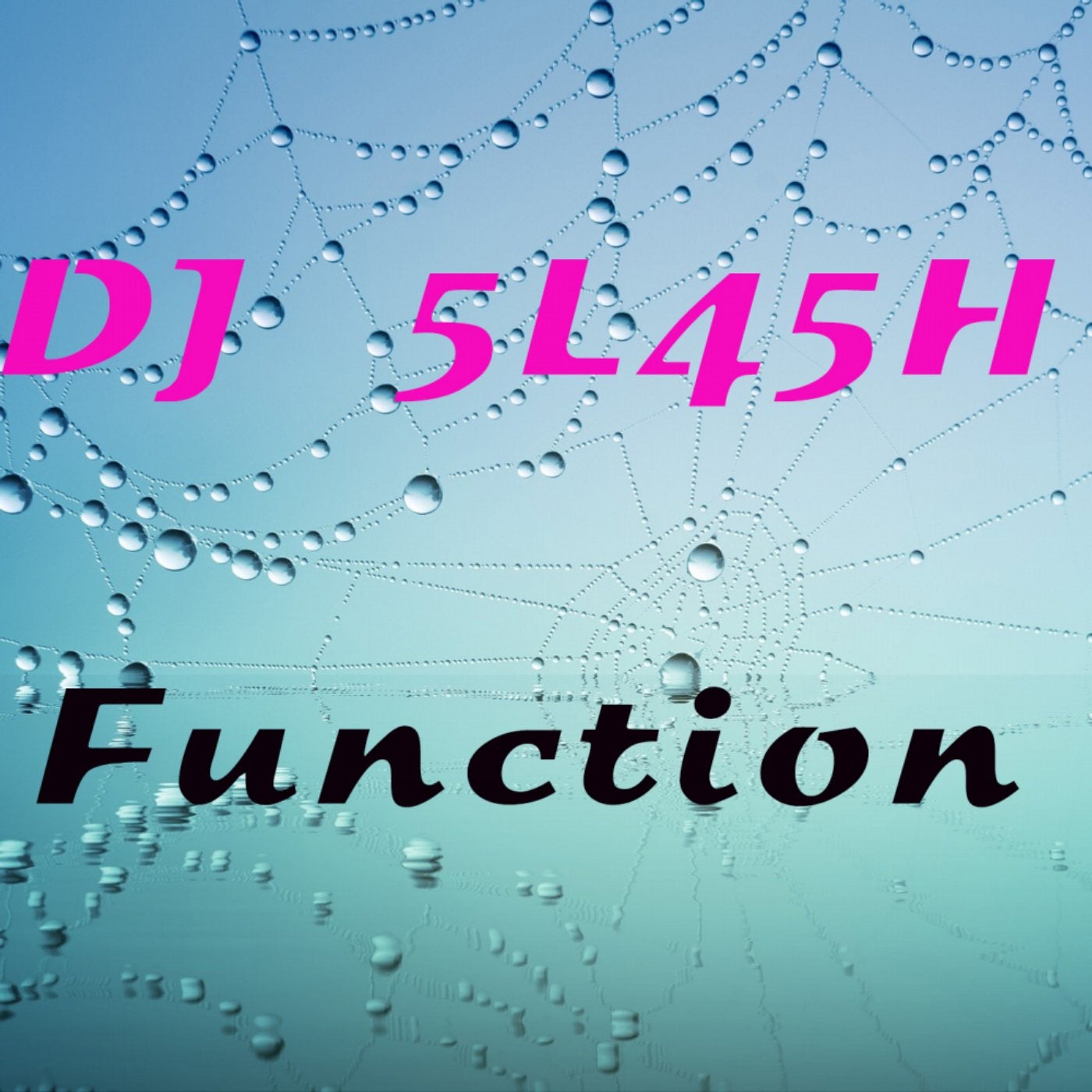 Function