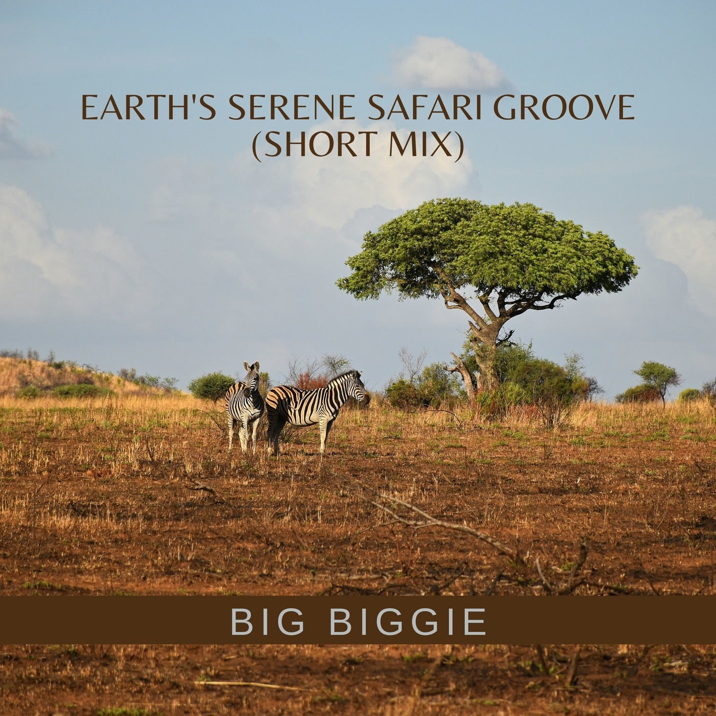 Earth's Serene Safari Groove (Short Mix)