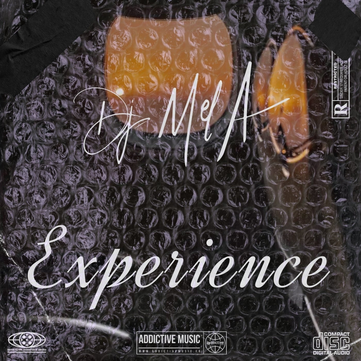 Experience