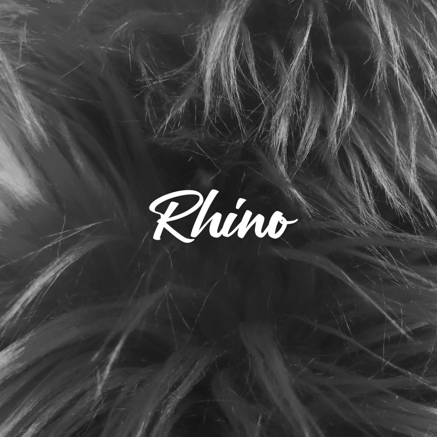 Rhino