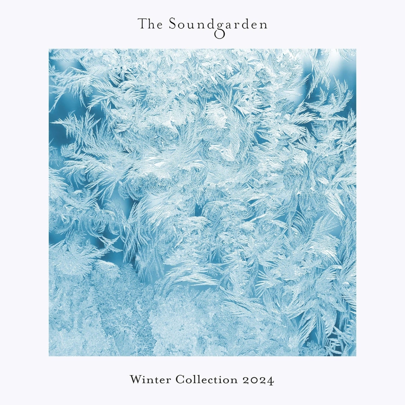 VA – Winter Collection 2024 SG105 VA – Winter Collection 2024 SG105