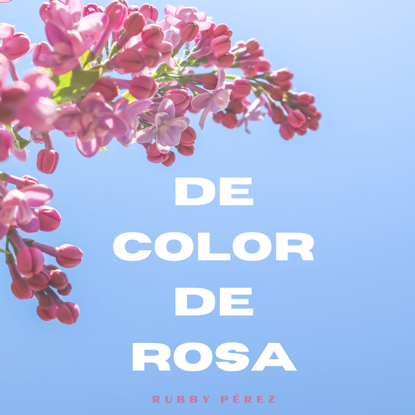 De Color de Rosa (Extended Mix)