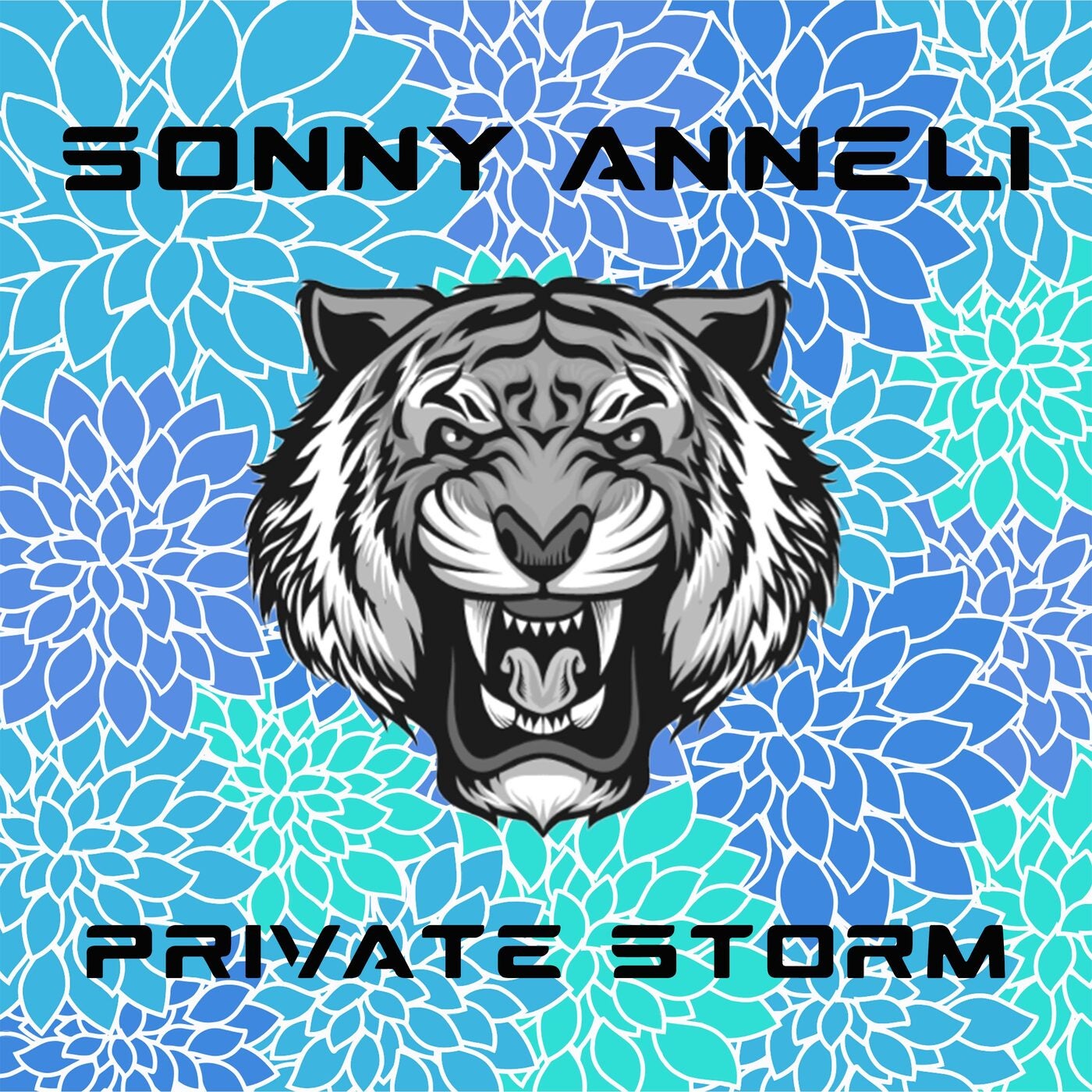 Private Storm