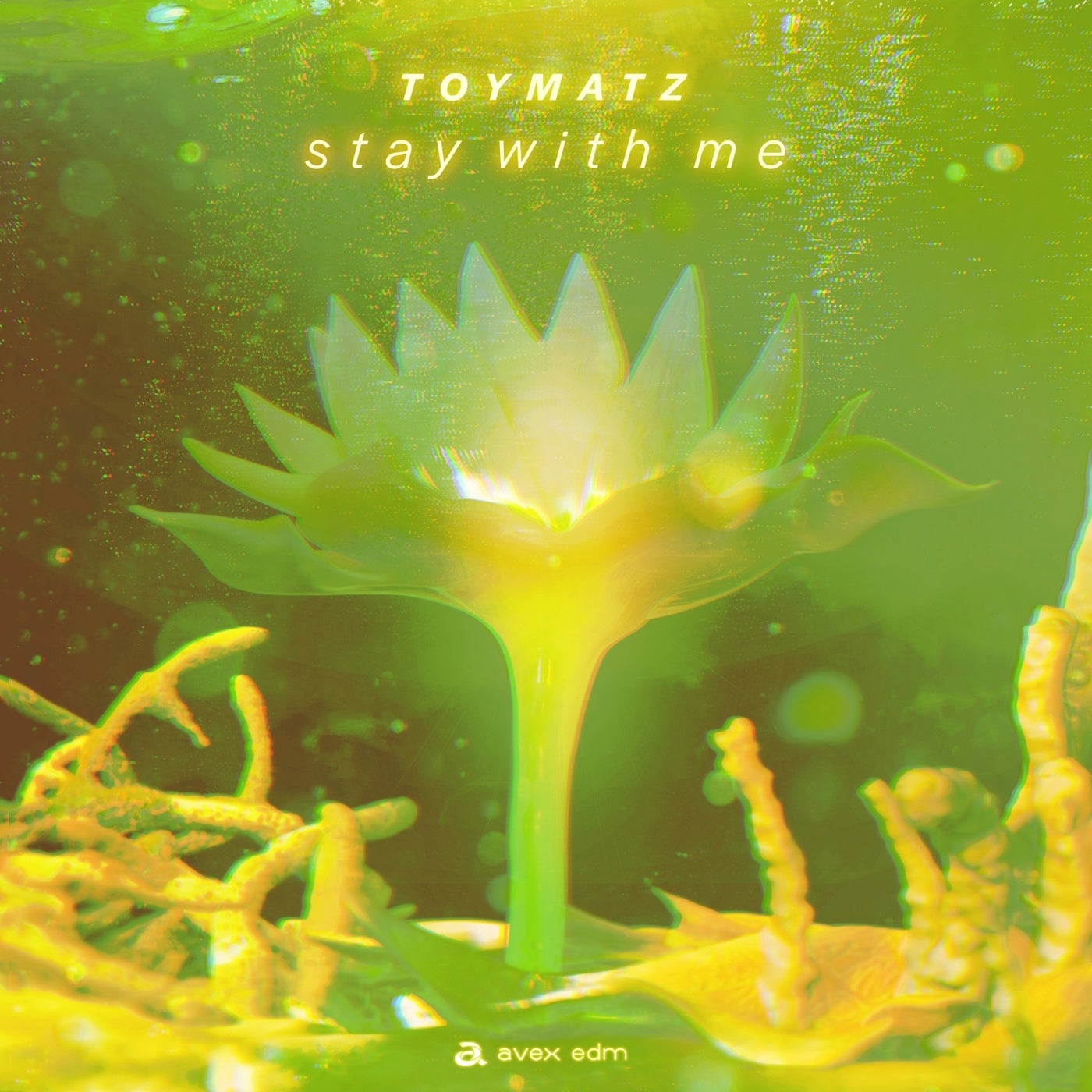 staywithme