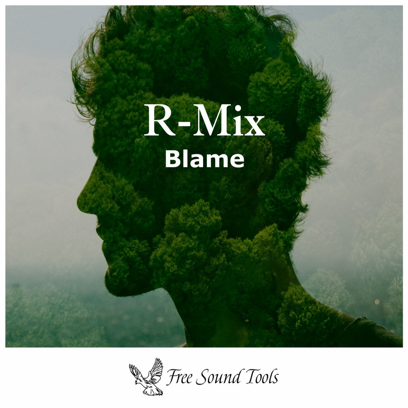 Blame