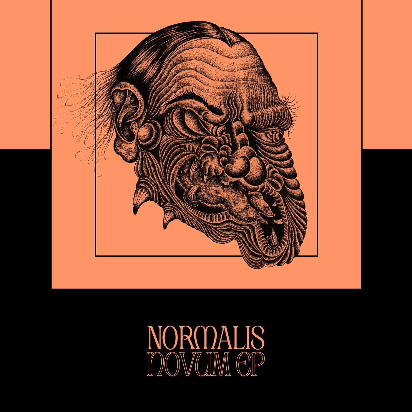 Normalis Novum