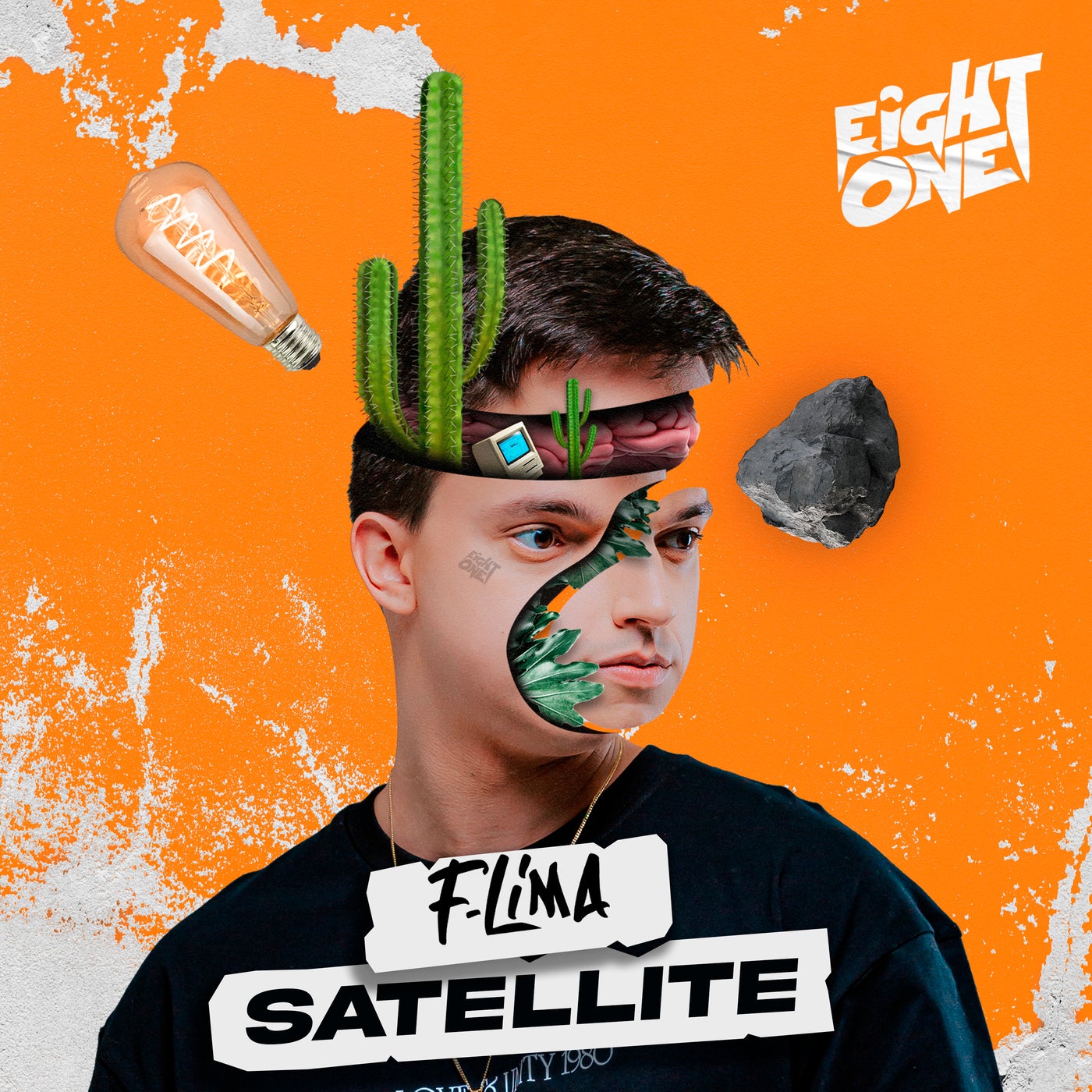 Satellite