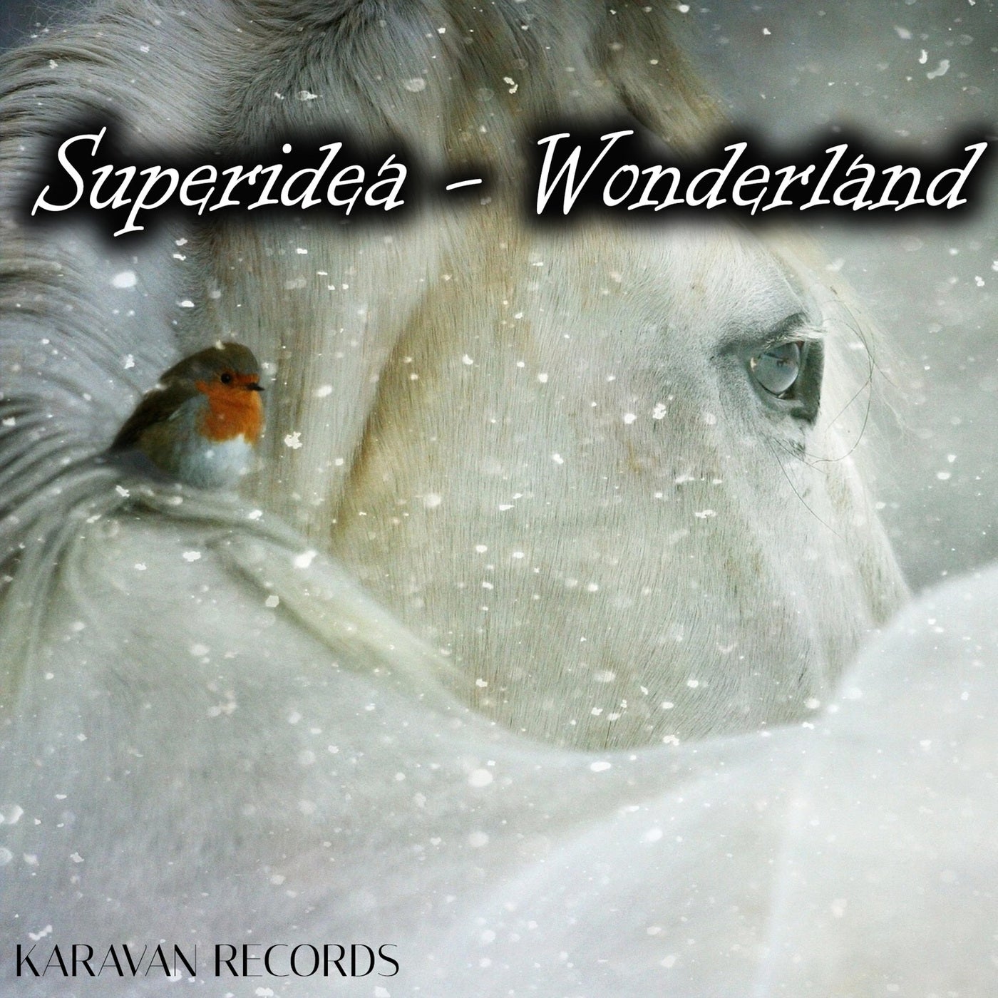 Wonderland