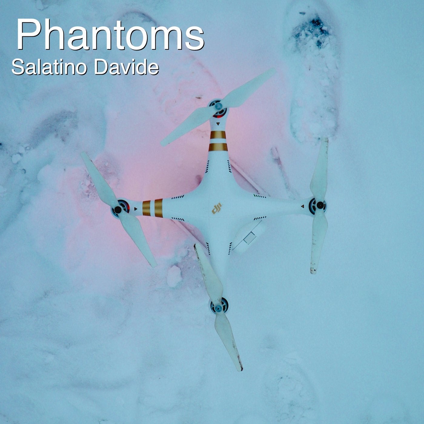 Phantoms