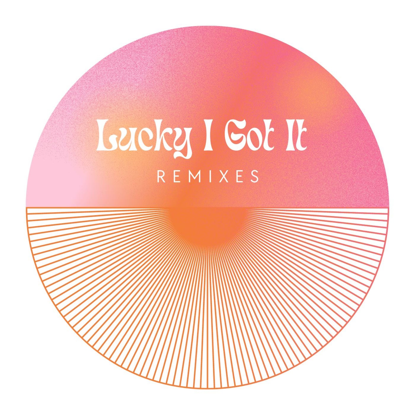 Lucky I Got It (Remixes)