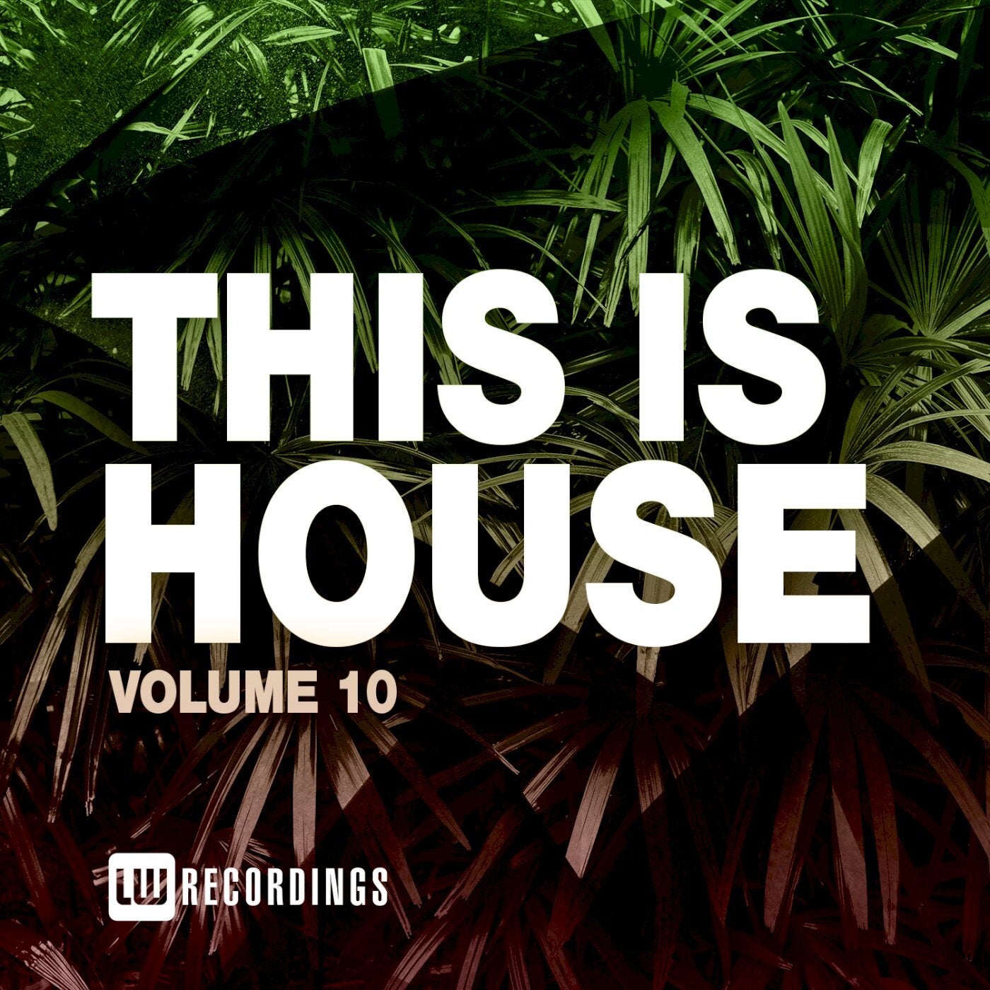 This Is House, Vol. 10