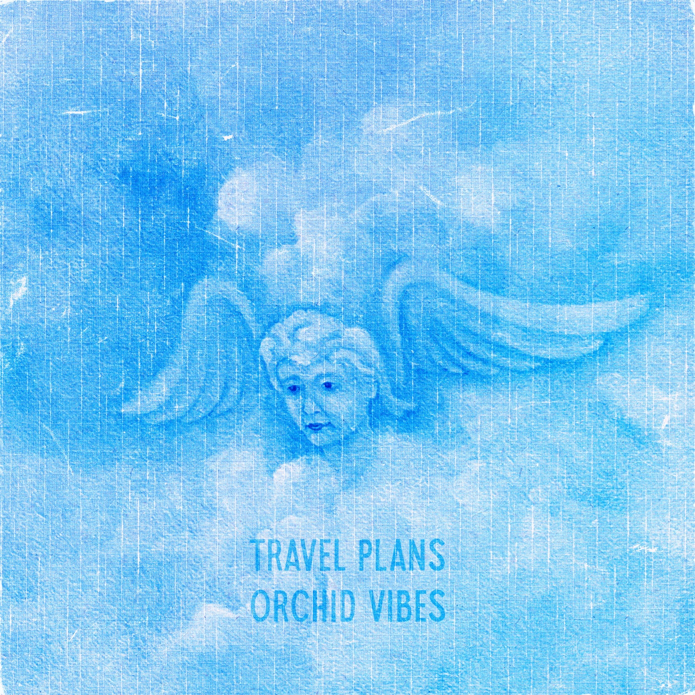 ORCHID VIBES