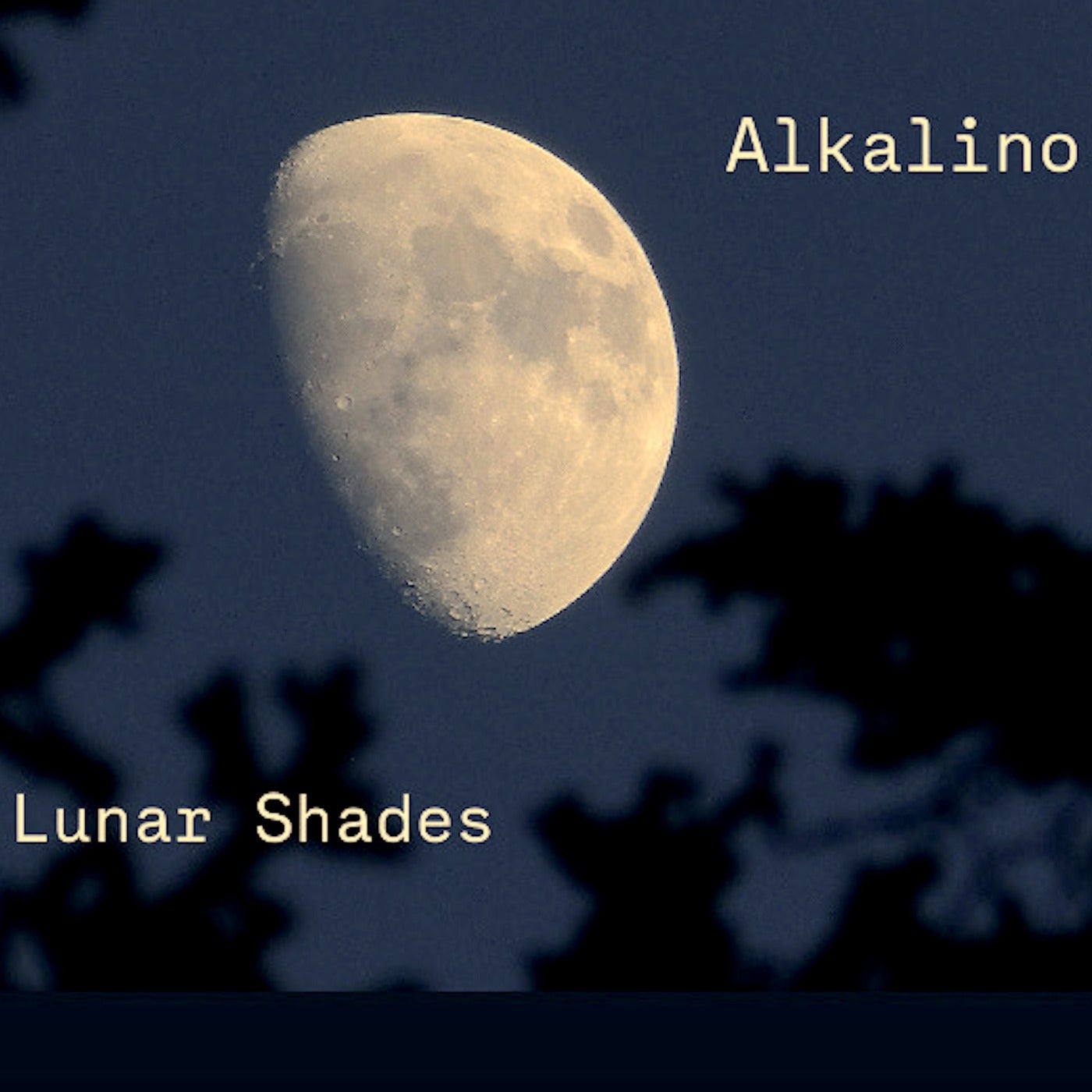 Lunar Shades