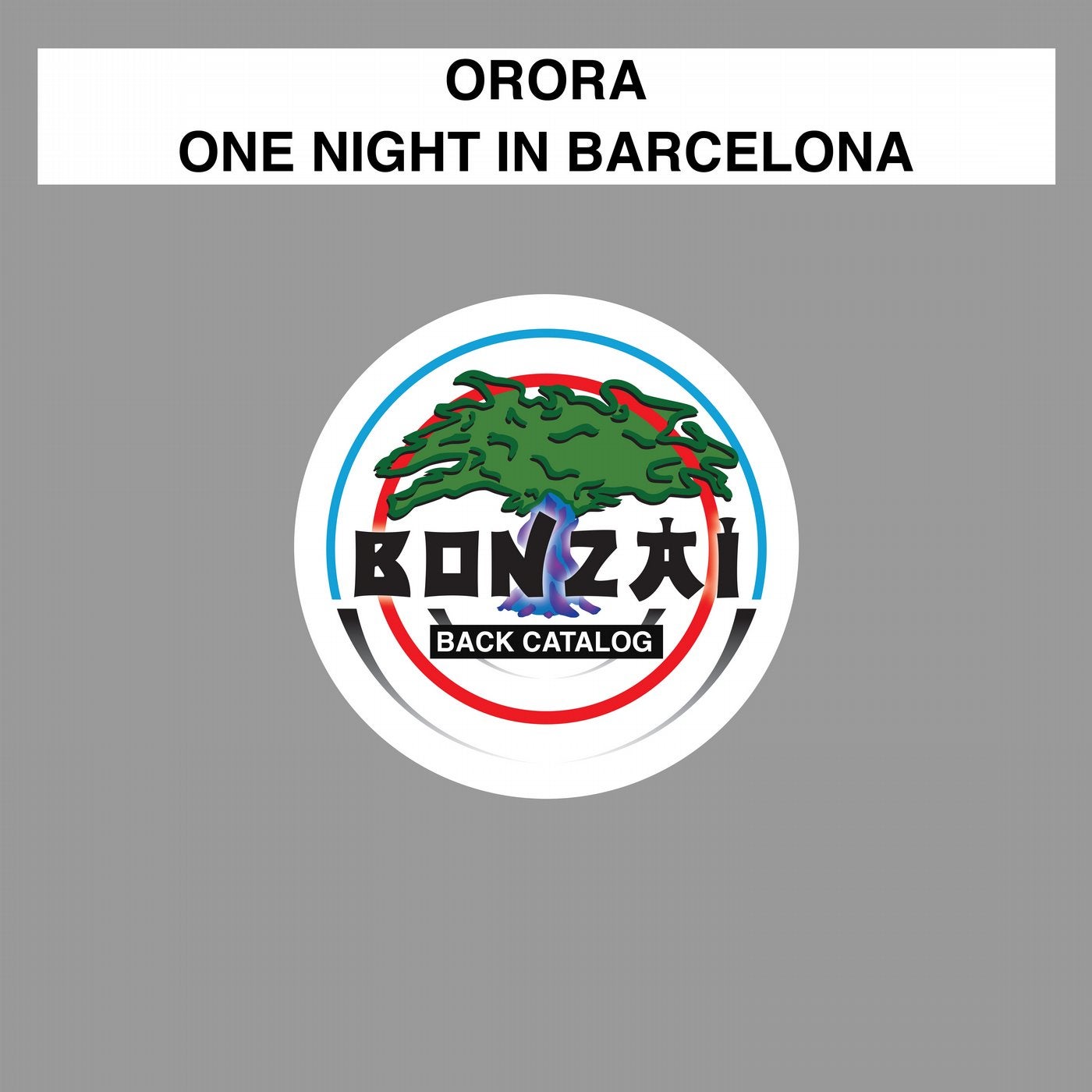 One Night in Barcelona