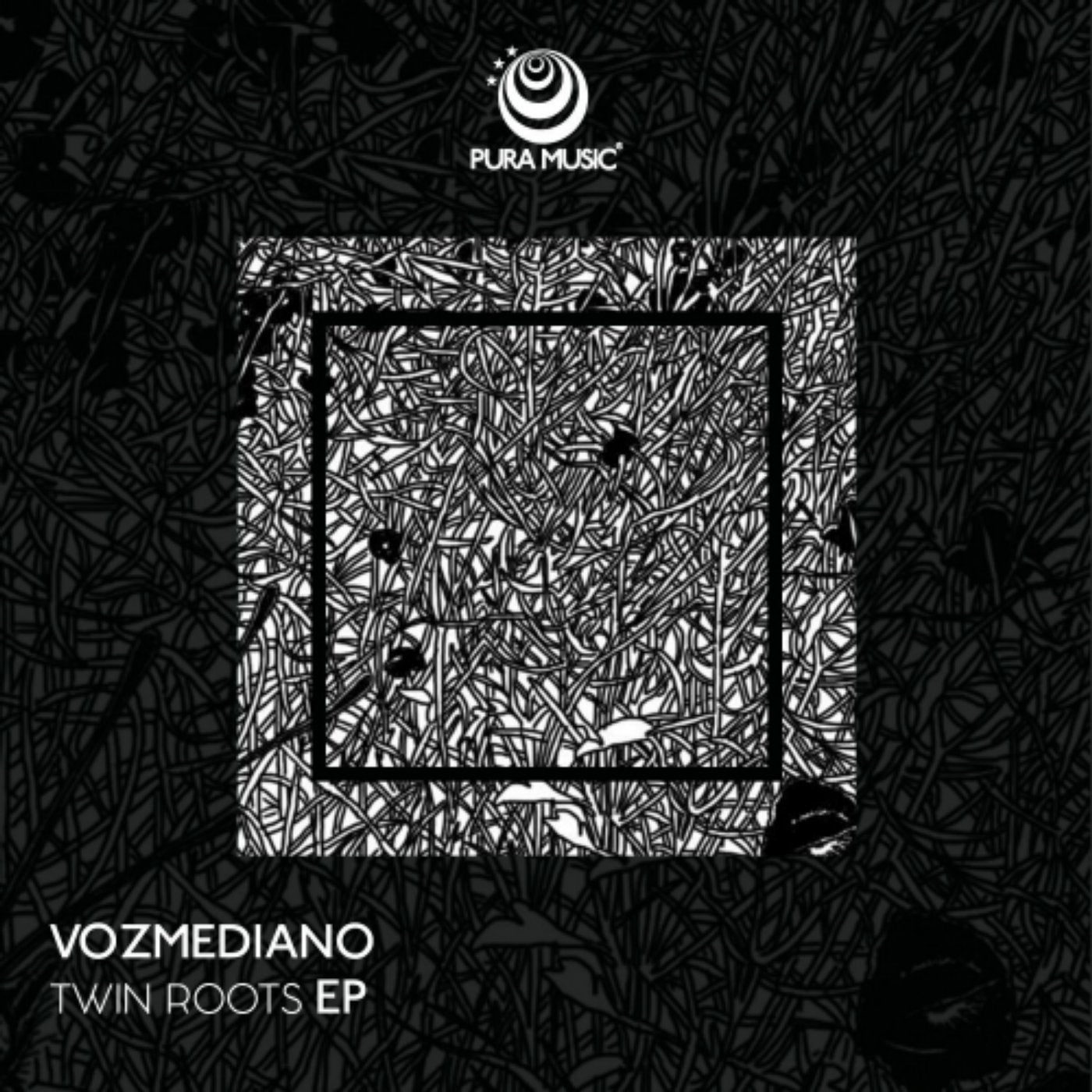 Twin Roots Ep