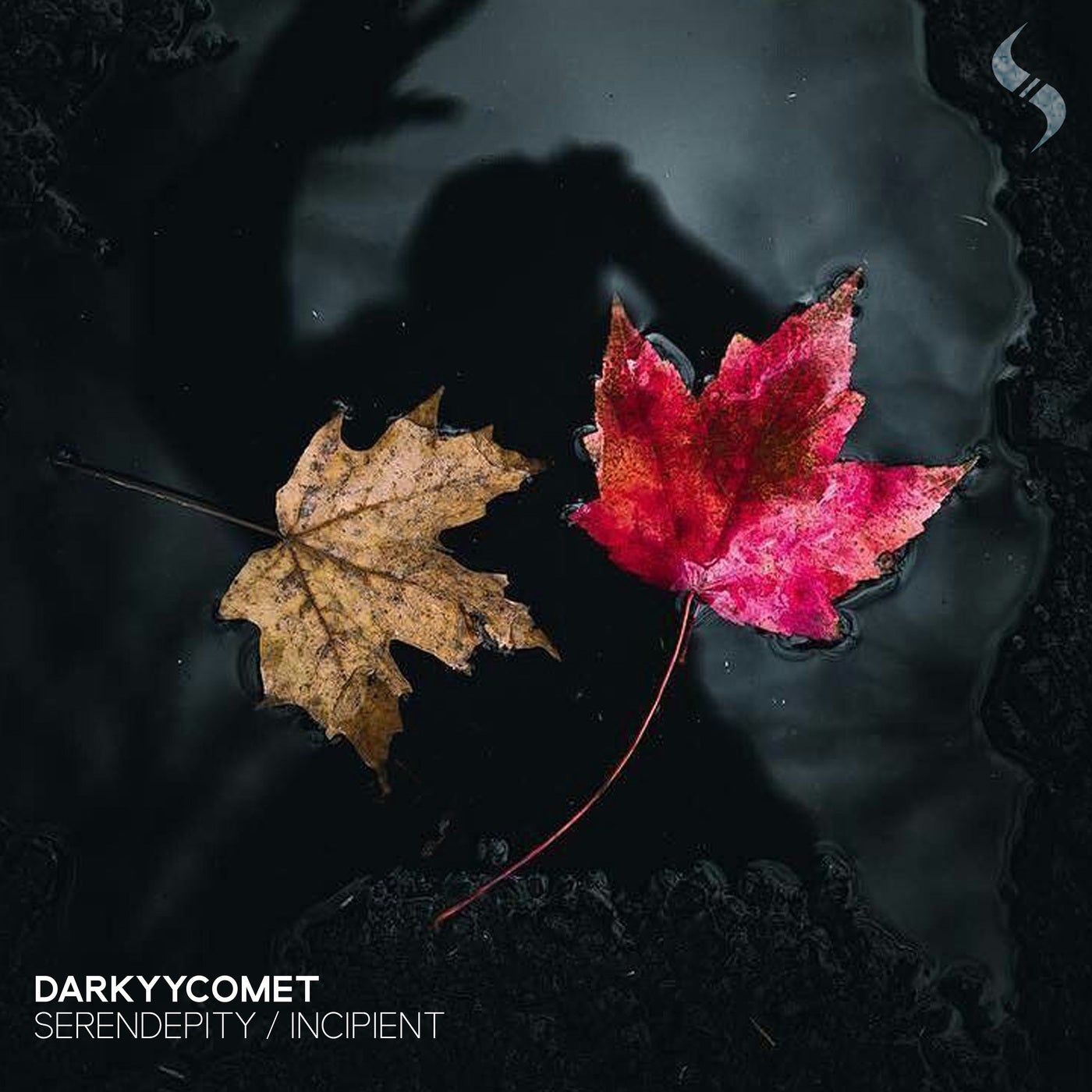 Serendepity / Incipient