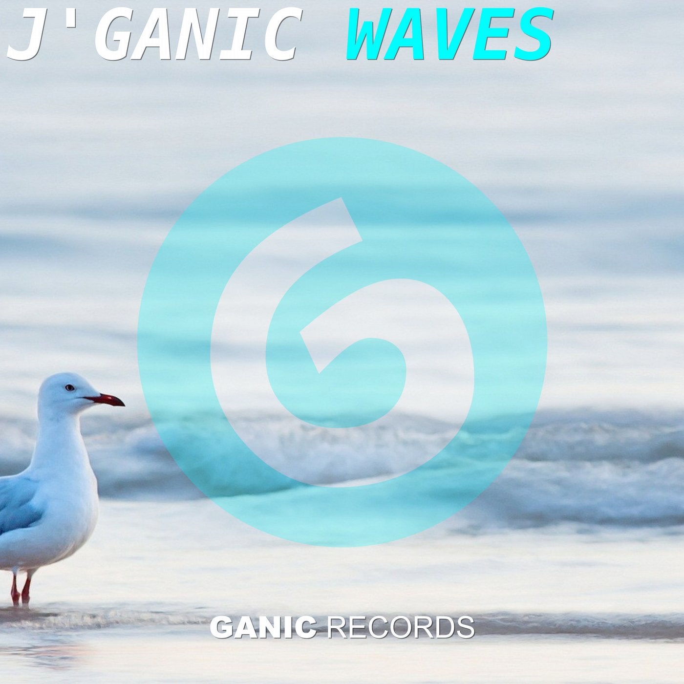Waves